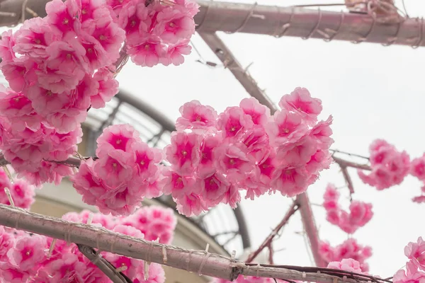 Lampy Led Kwiatostanach Sztucznie Różowych Kwiatã Drzewa Elektryczne Gałęziami Druty — Zdjęcie stockowe