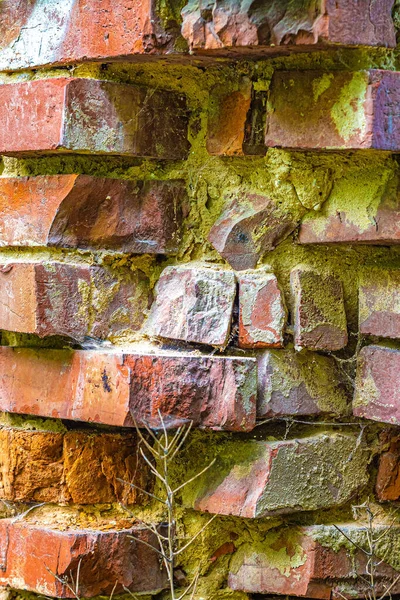 Oud Gebroken Metselwerk Met Groen Mos Het Cement Muur Van — Stockfoto