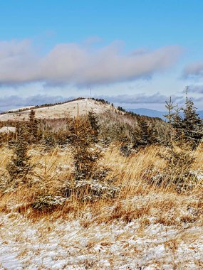 Kışın soğuk ve büyülü bir orman