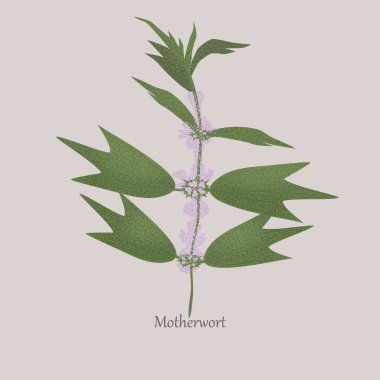 Beyaz çiçekli daimi otçul orospu çocuğu..