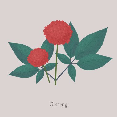 Gri arka planda daimi bitki bitkisi.