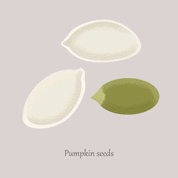Unshelled and peeled pumpkin seeds on a gray background. — Stock Vector