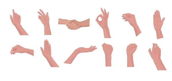 Különböző gesztusok halmaza emberi kézzel. — Stock Vector