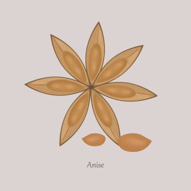 Gri arkaplanda anason ya da Pimpinella anisum bitkisel baharat yıldızı şekli.