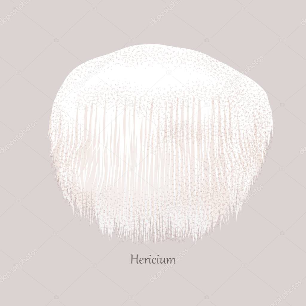 Hericium edible mushroom on a gray background.
