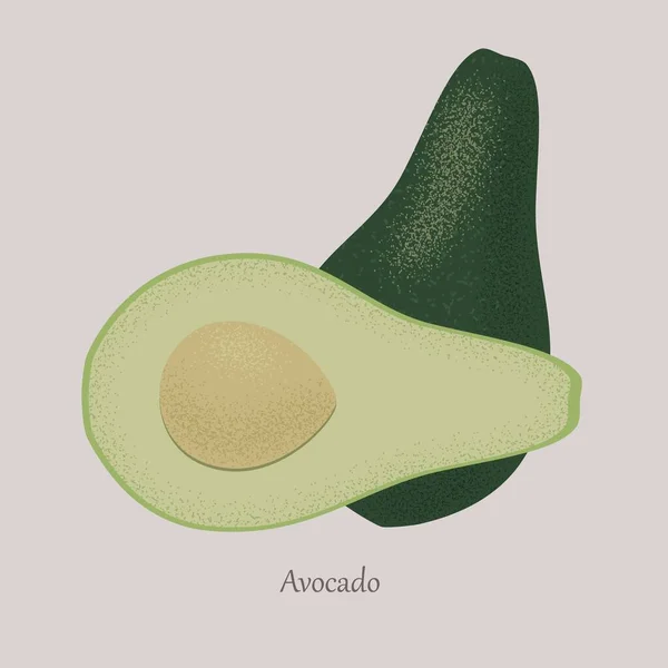 Векторный фруктовый авокадо целиком и разрезать пополам . — стоковый вектор
