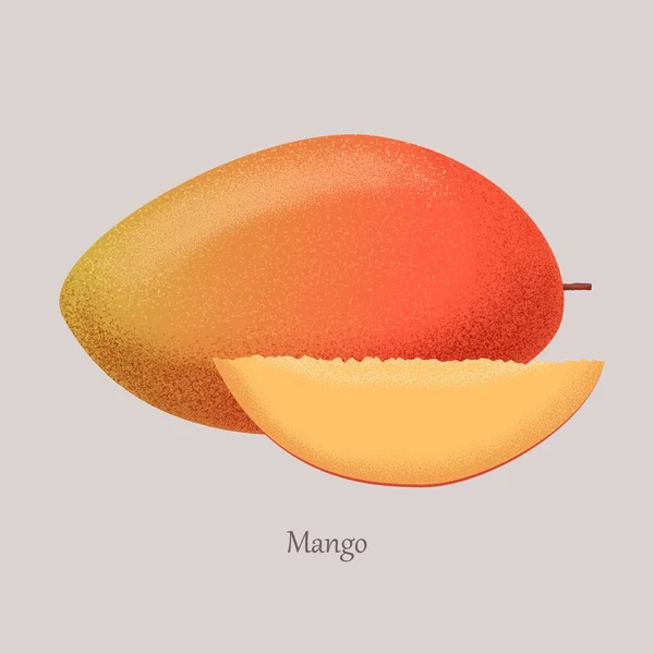 Logo Mango fruta jugosa exótica entera y media . — Vector de stock