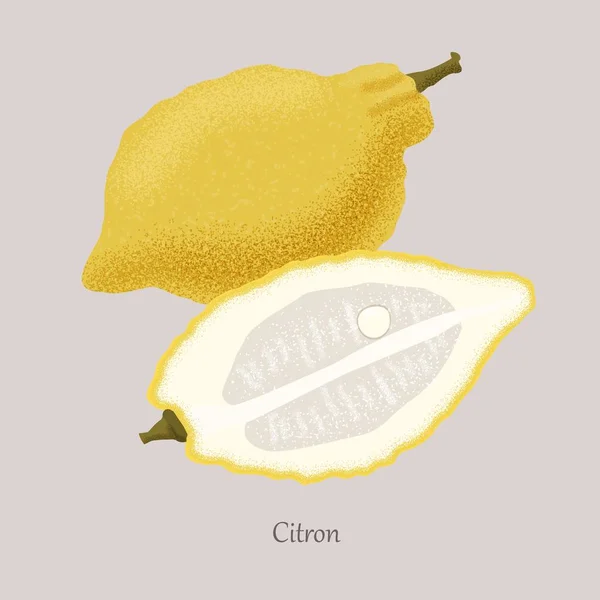 Yellow citron and citron slice, icon isolated on grey background. — Stock Vector