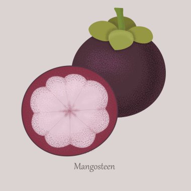 Taze Mangosteen Meyvesi, yarım dilimlenmiş..