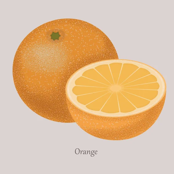 灰色の背景にオレンジのスライス熟した果実. — ストックベクタ