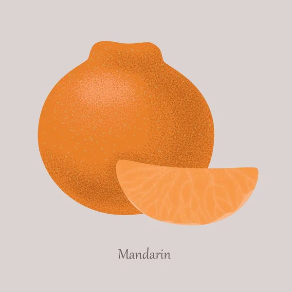 Mandarin, mandarin érett édes trópusi gyümölcs. — Stock Vector