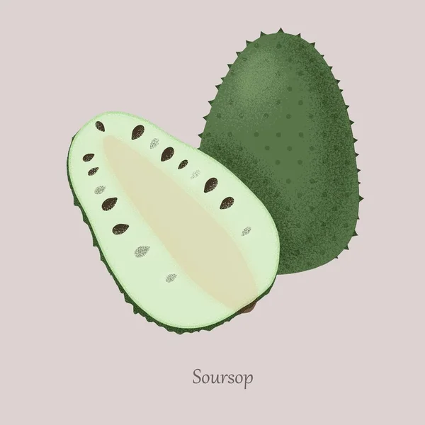 Soursop Whole and slice isolated on gray background. — Stock Vector