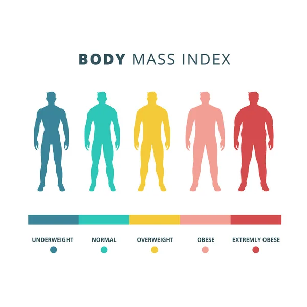 Body mass index colorful vector flat illustration isolated on white background — 图库矢量图片