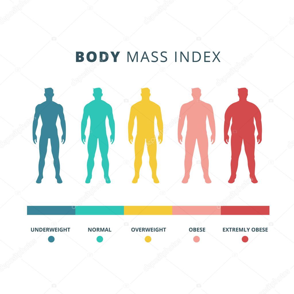 Body mass index colorful vector flat illustration isolated on white background