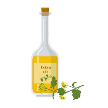 Şişedeki Colza yağı ve tecavüz çiçekleri..