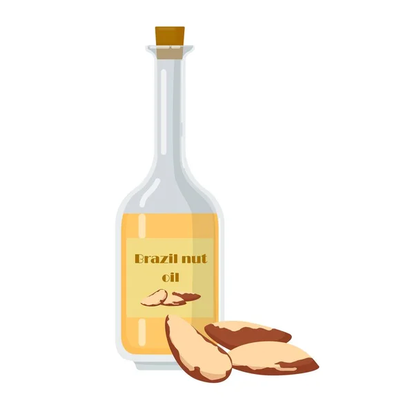 Бутылка с бразильским ореховым маслом . — стоковый вектор