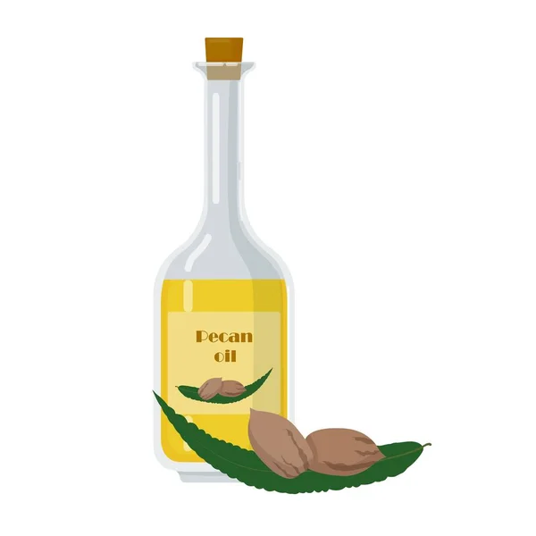 Μπουκάλι με έλαιο πεκάν με σπόρους και φύλλα. — Διανυσματικό Αρχείο