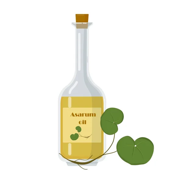 Asarum olio in bottiglia di vetro con nome sull'etichetta . — Vettoriale Stock