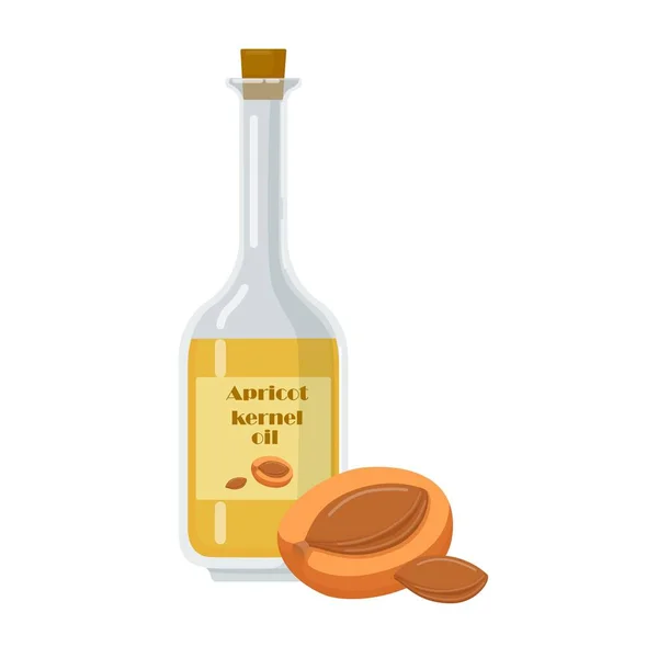 Olio di nocciolo di albicocca in bottiglia con tappo . — Vettoriale Stock