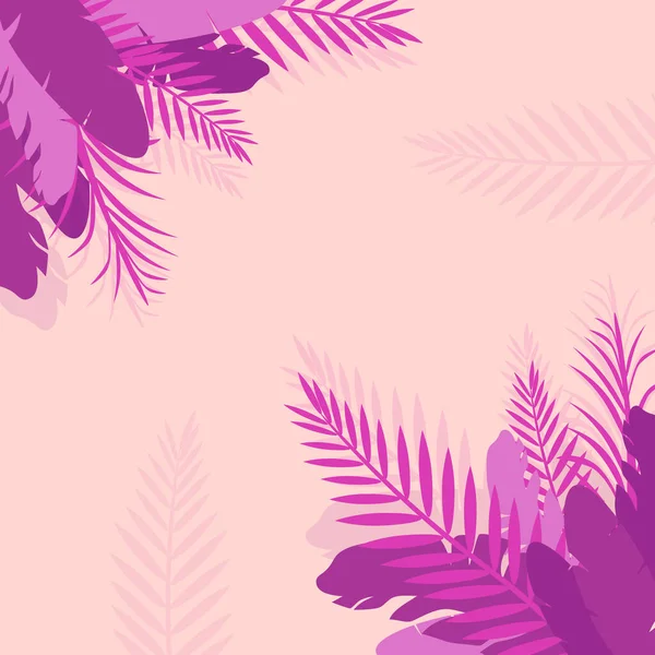 Rózsaszín trópusi levelek tollakkal a zászló sarkában. — Stock Vector