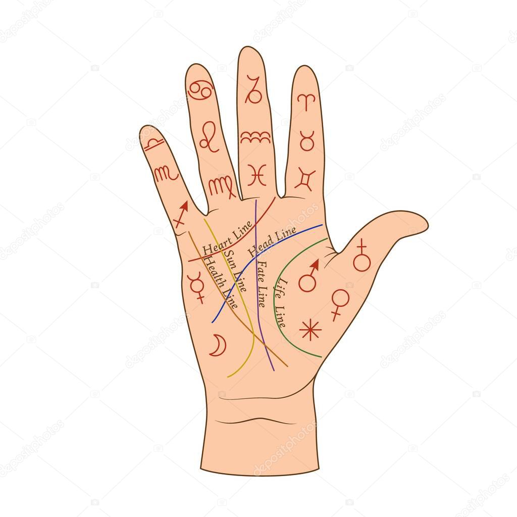 Cartoon human palmistry map on open hand vector graphic illustration