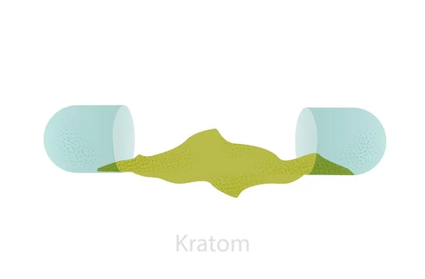 Ilustração do pó de folha de kratom na cápsula. Floral cor saturada natural . — Vetor de Stock