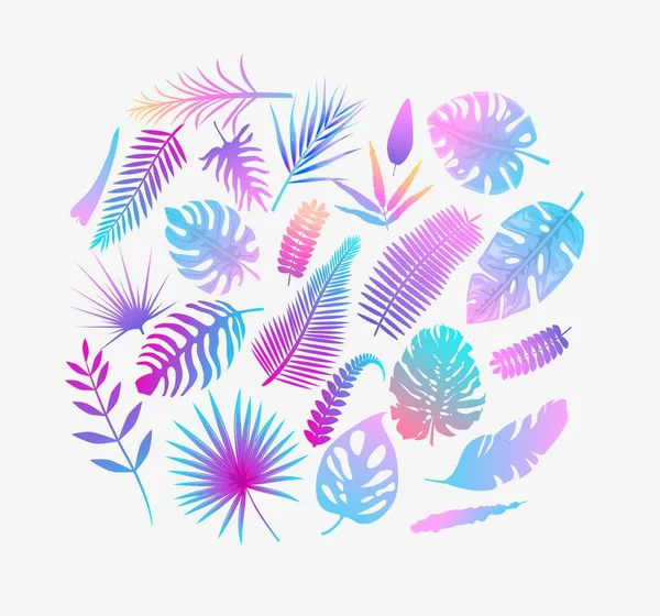 Набор векторной иллюстрации листьев тропических папоротников в цвете — стоковый вектор