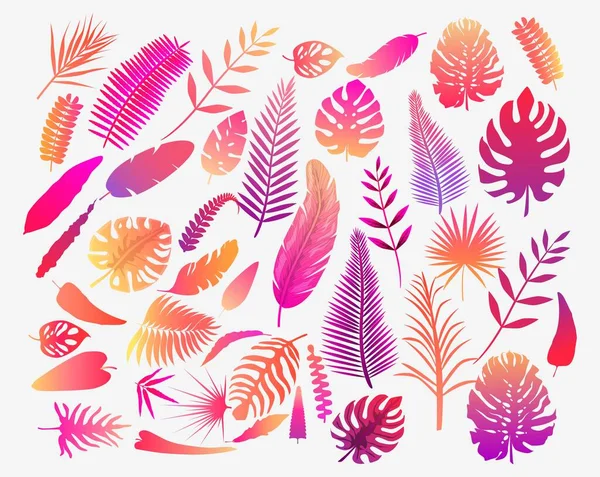 Conjunto de ilustração vetorial de folhas de samambaia tropical na cor —  Vetores de Stock