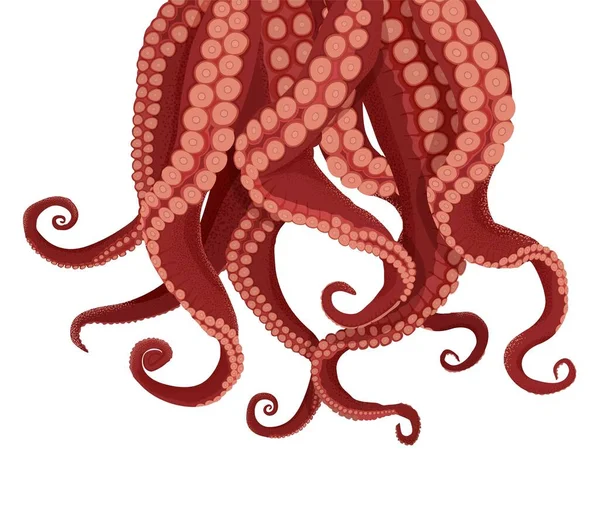 Tentacules poulpe et seiche. tentacules pourpres kraken ventouses rouges . — Image vectorielle