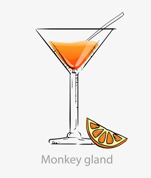 Mono de la glándula cóctel. Naranja cóctel naranja rebanada todo el día paja alcohol ginebra . — Vector de stock