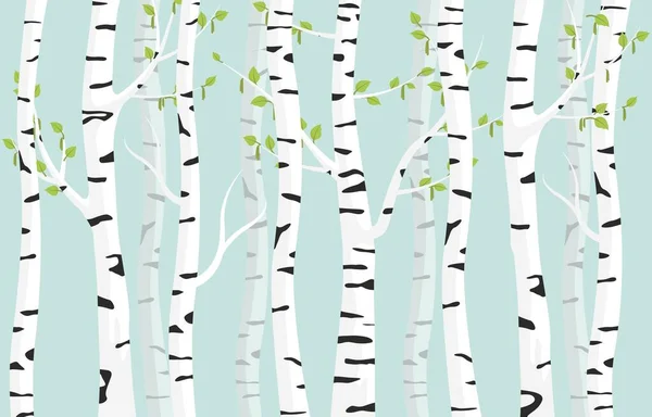 Berkenbos achtergrond. Lente berken groene jonge bladeren vlekkerige schors op boom. — Stockvector