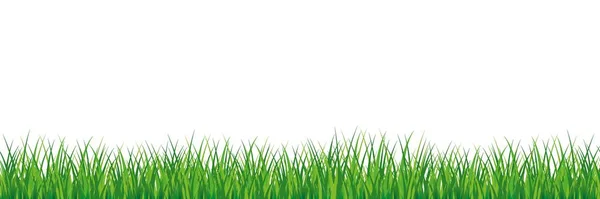 Seamless spring grass. Natural green saturated grass horizontal lawn lush ecological. — Stock Vector