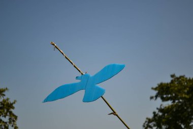 Mavi Korkuluk pirinç tarlasında asılı. 