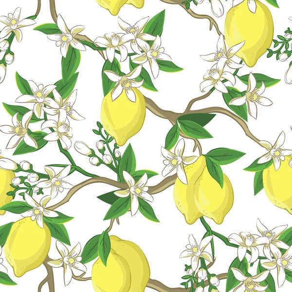 Floral pattern with lemons and white flowers. — Stock Vector