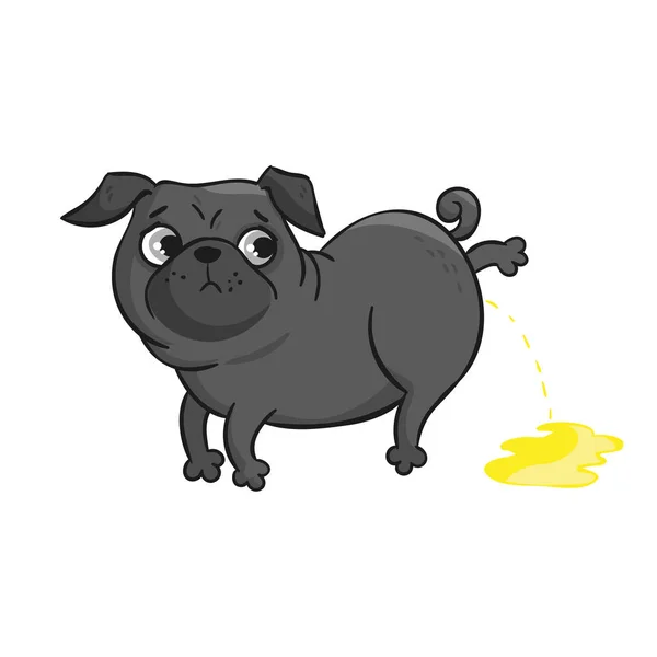 Cute pug isolated on white background. — Stock Vector