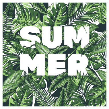 Tropik palmiye yaprakları arka plan.