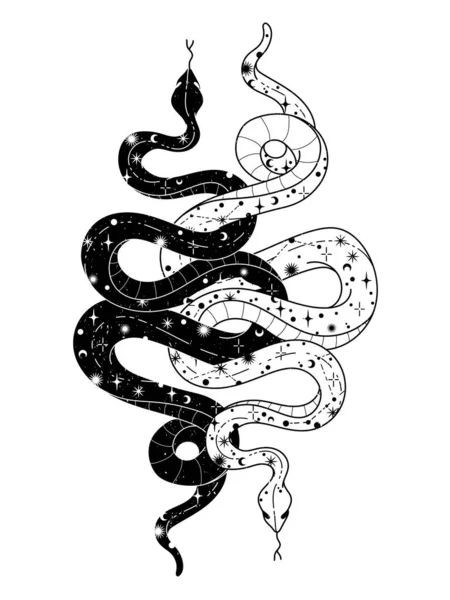 Ilustración dibujada a mano de moda oculta con serpiente, luna y estrellas . — Archivo Imágenes Vectoriales