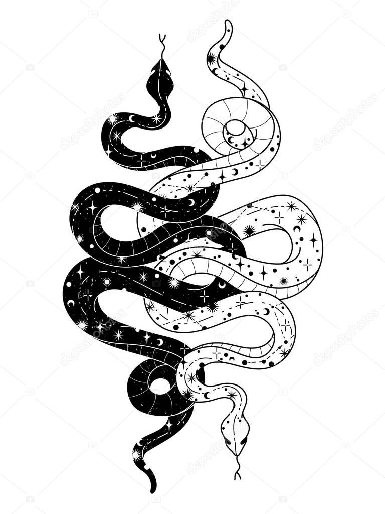 Occult trendy hand drawn illustration with snake, moon and stars.