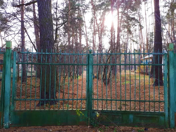 old gate in the park