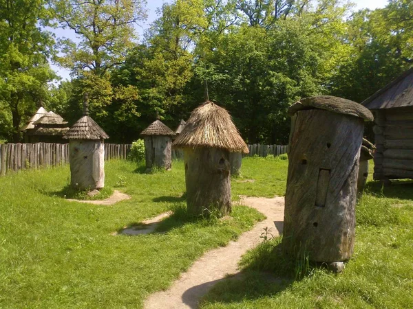 Hilly Oblast Parku Muzeum Ukrajinské Vesnice Století Domy Kostely Mlýny — Stock fotografie