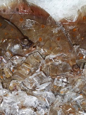  Taze, lezzetli balık, buz parçalarıyla dolu.