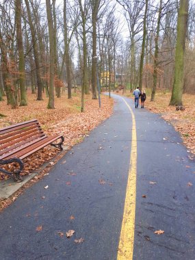 Aşıkların yürüdüğü ormanın içinden geçen bir yol.