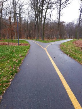 Ormanda ayrılan / çatallaşan boş yol