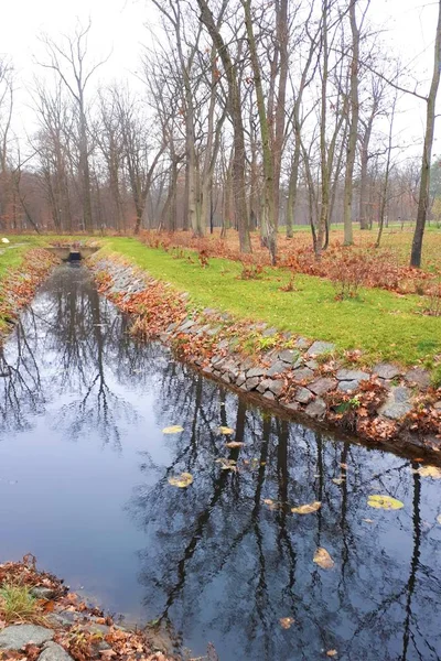 秋の公園で川のせせらぎ — ストック写真