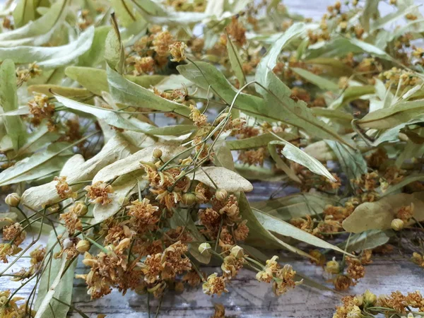 Closeup Dried Flowers Linden Leaves Making Tea — ストック写真