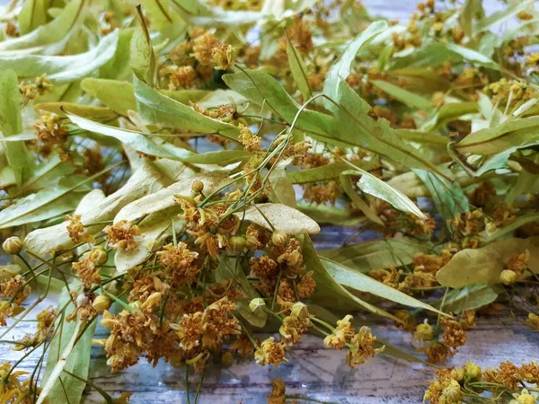 Closeup Dried Flowers Linden Leaves Making Tea — ストック写真