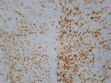 Bokeh efekti ve karakteristik kaba gözenekli dokusu, soyut koyu ve aydınlık lekeleri olan dekoratif bir duvarın yakın çekimi.