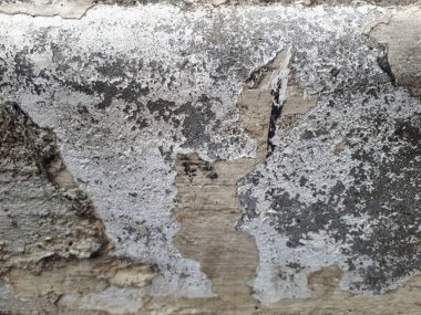  Betondan yapılmış dekoratif bir duvarın, karakteristik kaba, gözenekli bir dokusu, soyut koyu ve aydınlık lekeleri var.