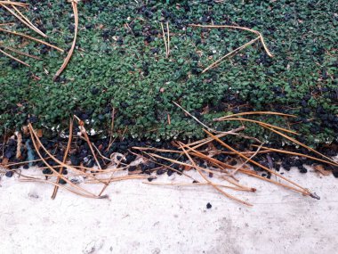 Bokeh efekti ve karakteristik kaba gözenekli dokusu, soyut koyu ve aydınlık lekeleri olan dekoratif bir duvarın yakın çekimi.