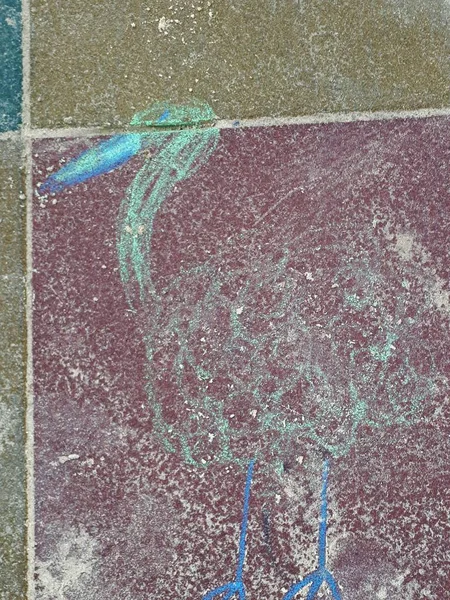 drawing close-up, abstract bird drawn in chalk on the ground